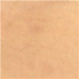 Papier nepalais lokta 50x75cm 80g beige sn2