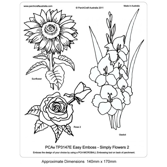 PCA Template GAUFRAGE facile de simplement Fleurs 2 PCA Template GAUFRAGE facile de simplement Fleurs 2