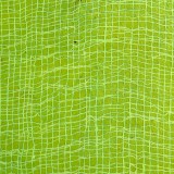 Papier cotton vert pomme 14 50x75cm 