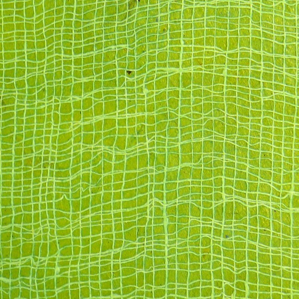 Papier cotton vert pomme 14 50x75cm 