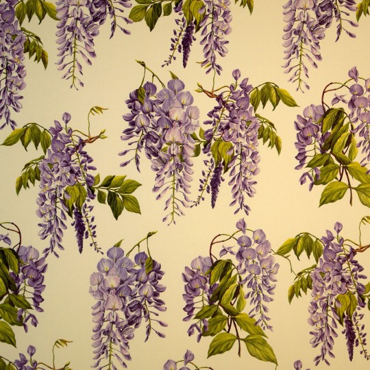 Papier tassotti motifs fleurs de glycine parme 50x70cm 160