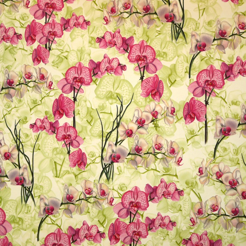 Papier tassotti motifs orchidées 50x70cm