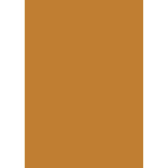 Pergamano papier parchemin A4 150 gr 1 fe miel -61567- Pergamano papier parchemin A4 150 gr 1 fe miel -61567-
