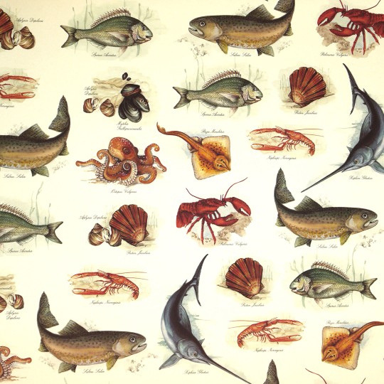 Papier tassotti motifs poissons et cie 50x70cm Papier tassotti motifs poissons et cie 50x70cm