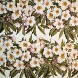 Papier tassotti motifs roses de noel blanches 50x70cm 191