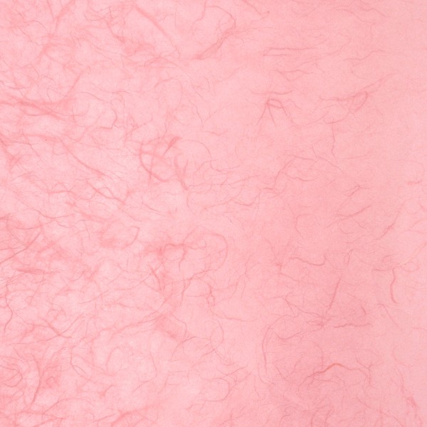 Papier murier rose silk