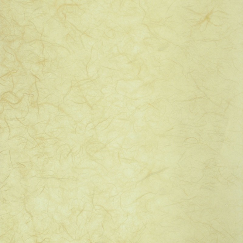 Papier murier crème silk
