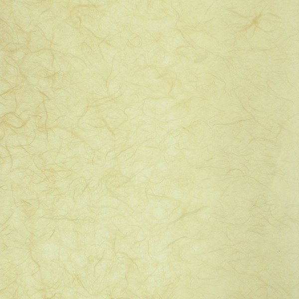 Papier murier crème silk