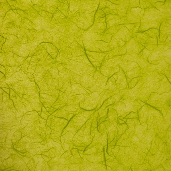 Papier murier spring green silk