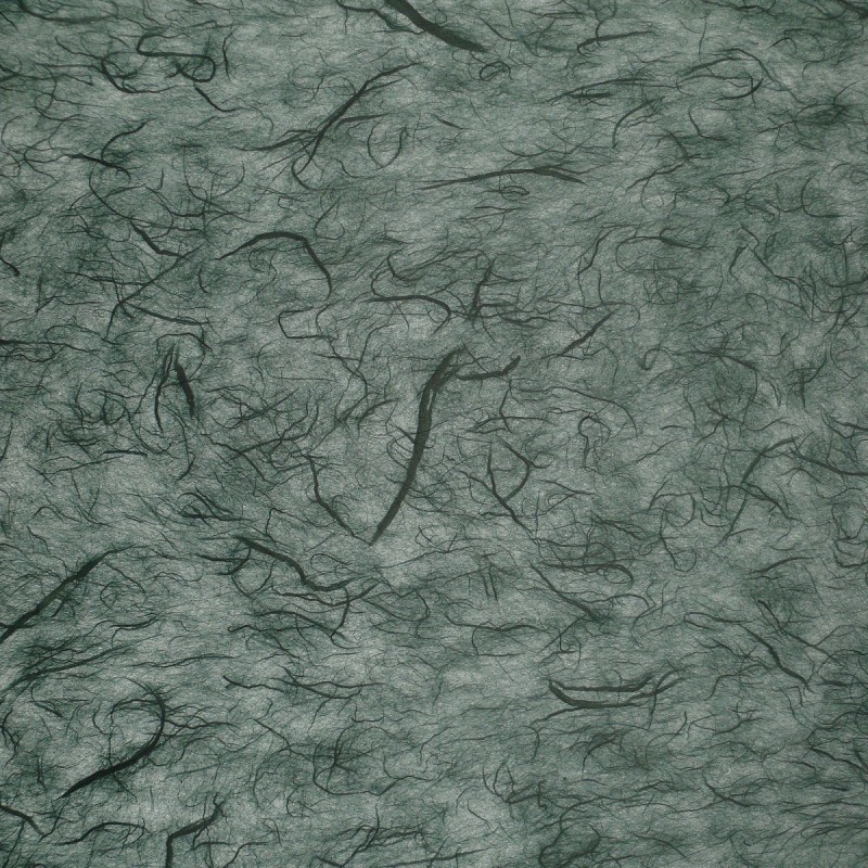 Papier murier vert foncé silk