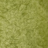 Papier murier vert mousse silk 50x70cm