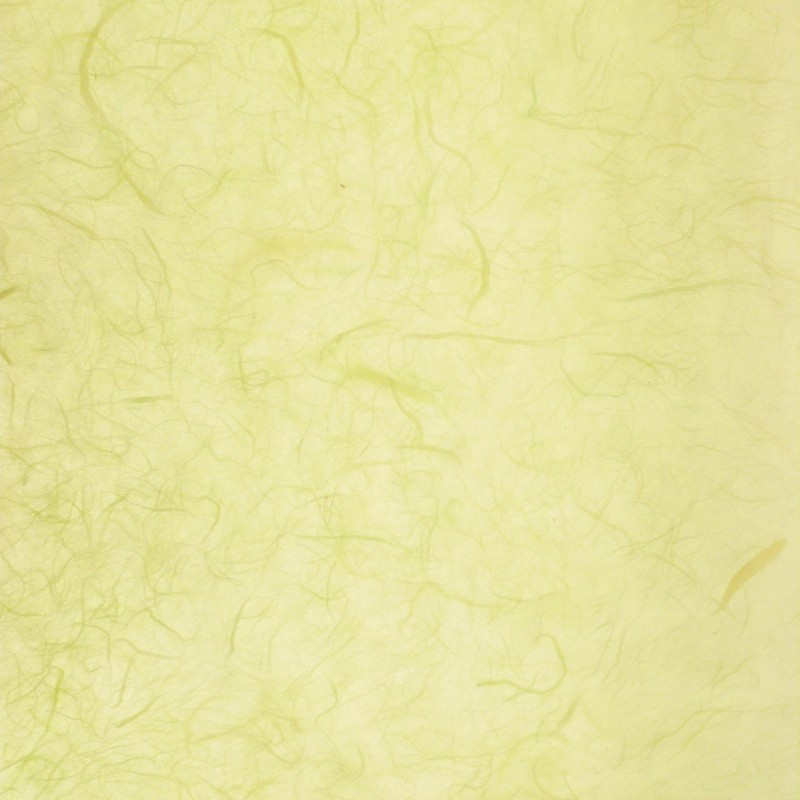 Papier murier vert silk