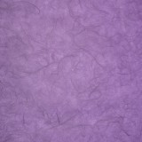 Papier murier violet silk