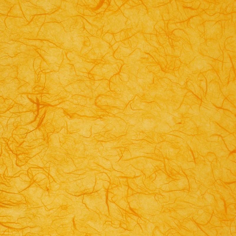Papier murier orange silk