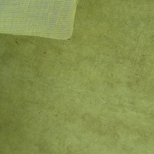 Papier fantaisie cotton vert Papier fantaisie cotton vert