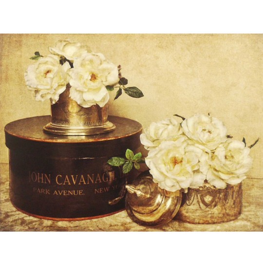 Carte d'art park avenue roses Carte d'art park avenue roses