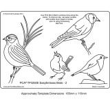 Template parchemin oiseaux modèle 2