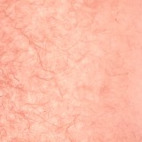 Papier murier rose saumon silk