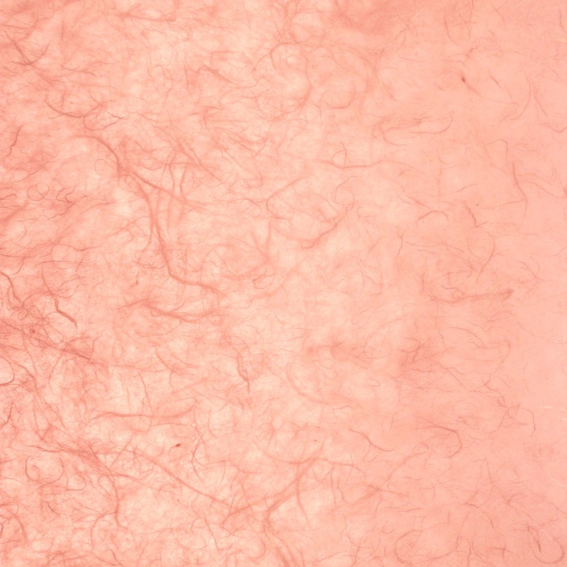 Papier murier rose saumon silk