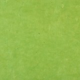 Papier népalais lokta anis