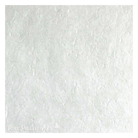 Papier népalais lokta lamaLi précieux argent Papier népalais lokta lamaLi précieux argent