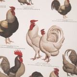 Papier tassotti motifs coqs
