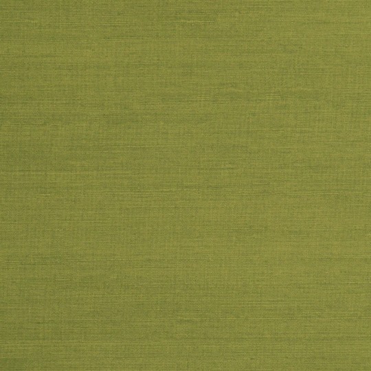 Papier simili cuir kashmir vert anis