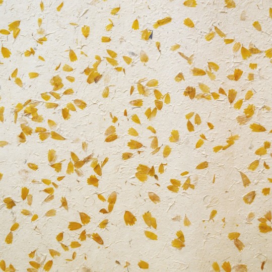 Papier gaufré fleur jaune Papier gaufré fleur jaune