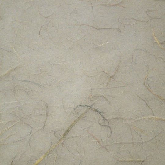 Papier murier gris silk