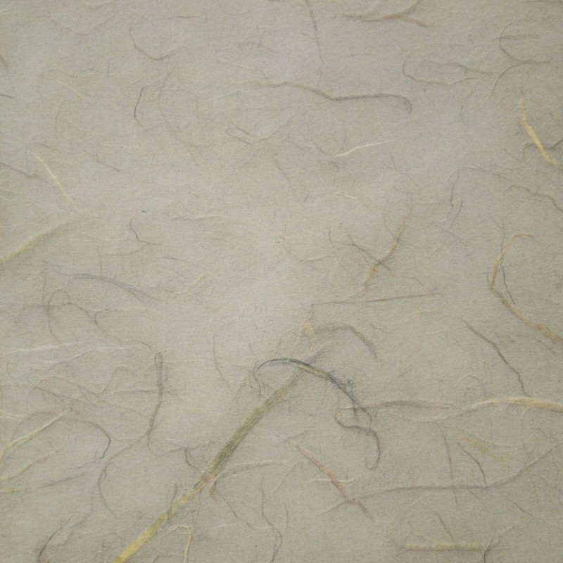 Papier murier gris silk