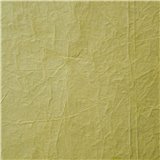 Papier fantaisie cristal vert anis