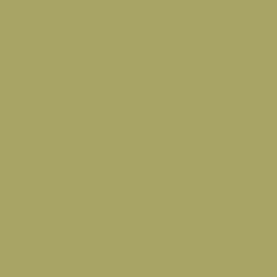 Papier pour carte et faire part vert roseau x5 220g Papier pour carte et faire part vert roseau x5 220g