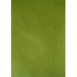 Pergamano papier parchemin vert feuille 61587 5 feuilles