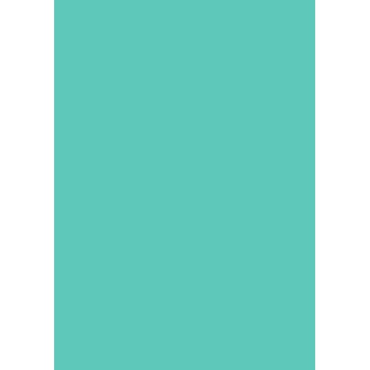Pergamano papier parchemin vert menthe 62902 Pergamano papier parchemin vert menthe 62902