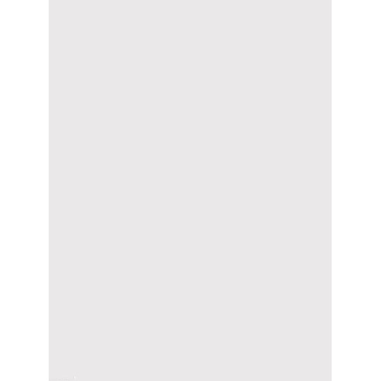 Siesta papier parchemin blanc A4 10fe A410 Siesta papier parchemin blanc A4 10fe A410