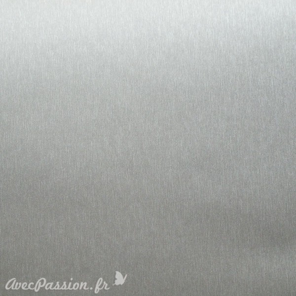 Papier simili cuir toilé métallique argent 53x70cm