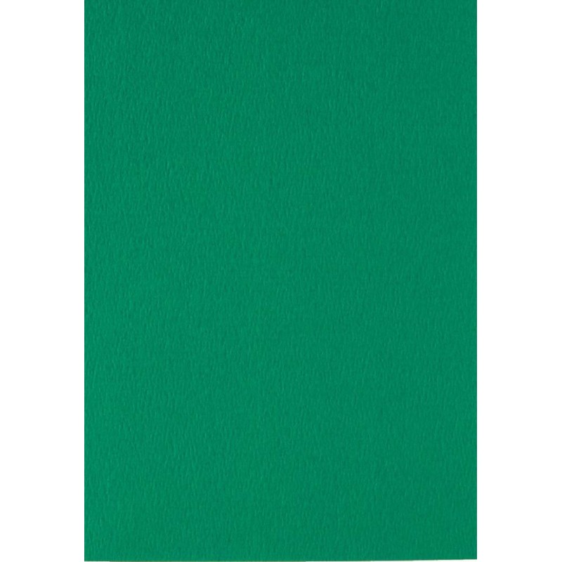Papier pour carte et faire part vert foncé x6 200g