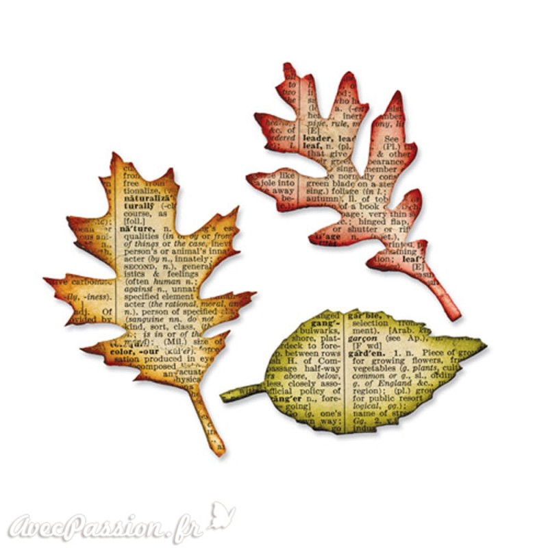 Dies découpe feuilles Sizzix Bigz 3p 
