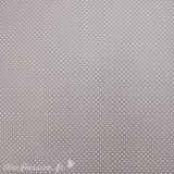 Papier tassotti motifs recto verso fond parme ou pois parme