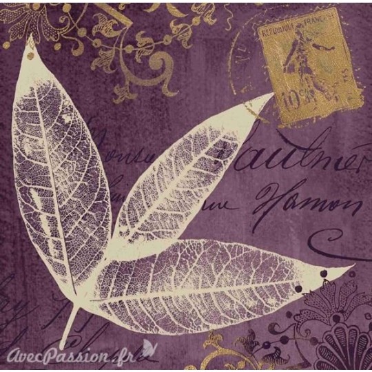 Carte d'art laurier lavande Booker Morey Carte d'art laurier lavande Booker Morey