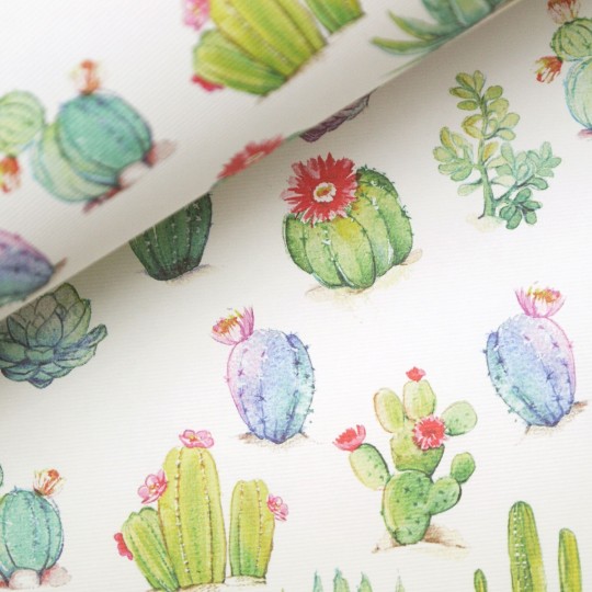 Papier italien motifs cactus