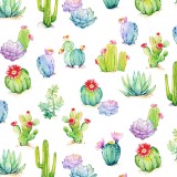 Papier italien motifs cactus