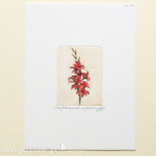 Gravure eau forte fleurs Le glaïeul Gravure eau forte fleurs Le glaïeul