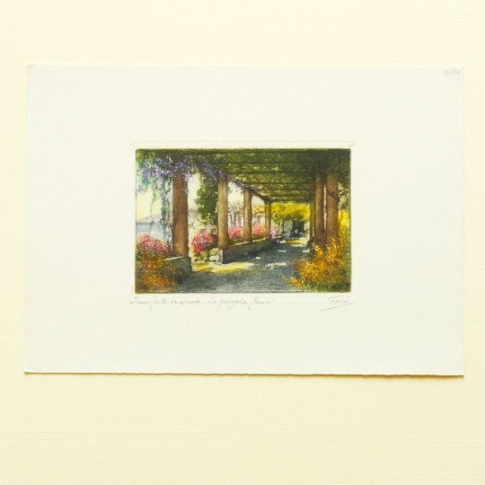 Gravure originale la pergola fleurie Gravure originale la pergola fleurie
