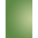 Pergamano feuille parchemin translucent vert scintillant 62553 à l'unité