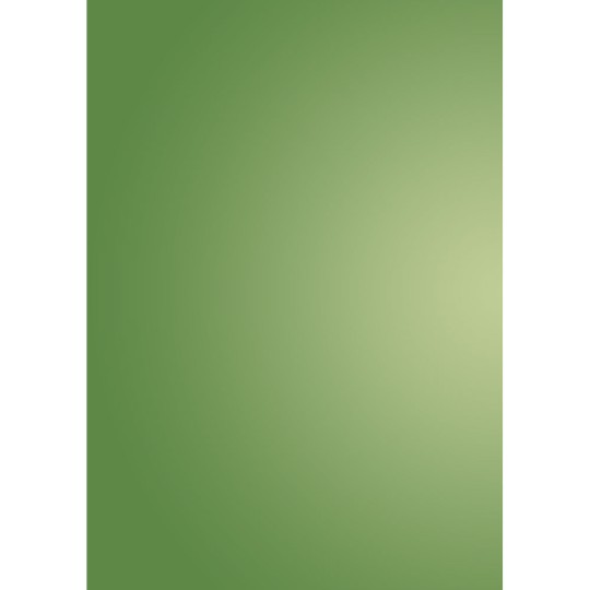 Pergamano feuille parchemin translucent vert scintillant 62553 à l'unité