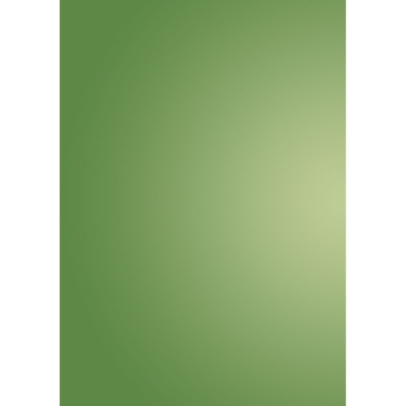 Pergamano feuille parchemin translucent vert scintillant 62553 à l'unité