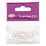 Attaches parisiennes blanche 3mm