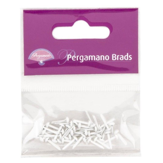 Attaches parisiennes blanche 3mm