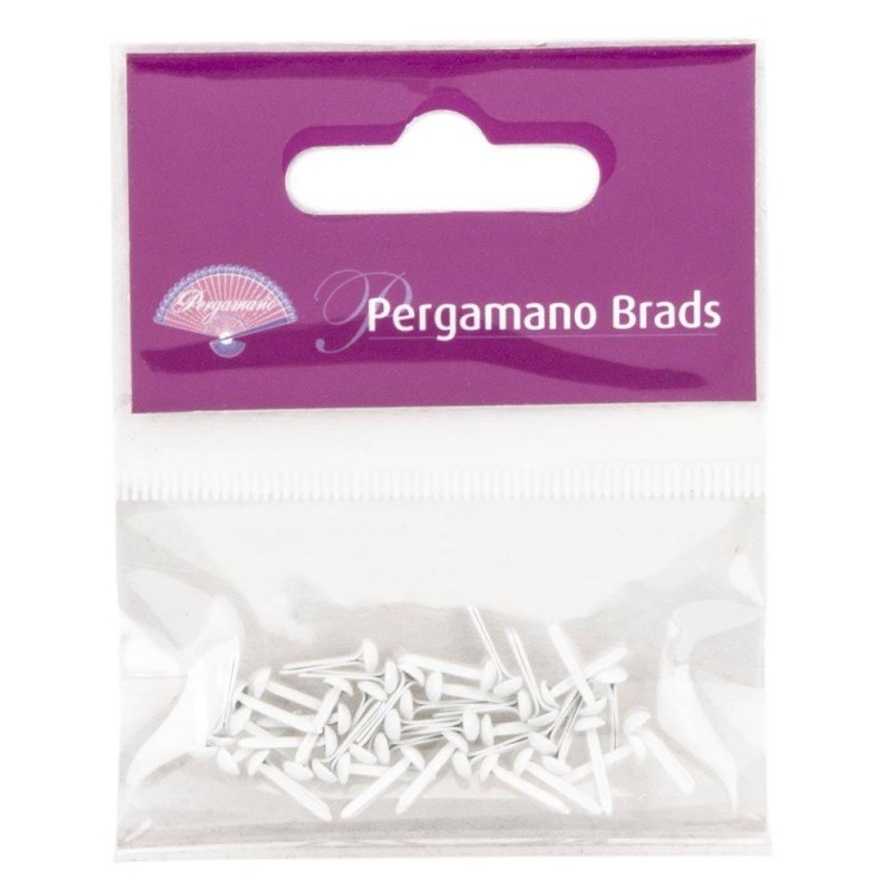 Attaches parisiennes blanche 3mm